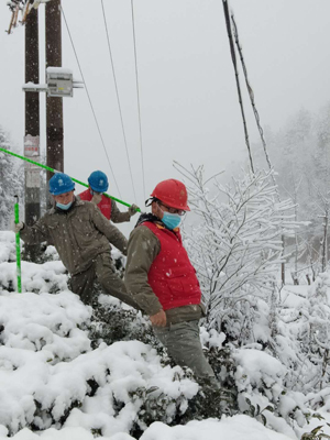 國家電網(wǎng)舉全公司之力戰(zhàn)疫情抗風(fēng)雪保供電