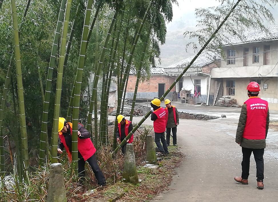 國網江西黎川縣公司砍青掃障迎戰(zhàn)寒潮強降溫雨雪天氣