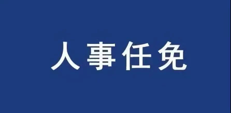 重磅！張智剛?cè)螄?guó)家電網(wǎng)總經(jīng)理、黨組副書記，韓君出任三峽集團(tuán)總經(jīng)理