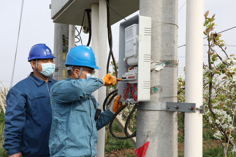 國(guó)網(wǎng)諸城市供電公司電力足，千畝梨園花正濃