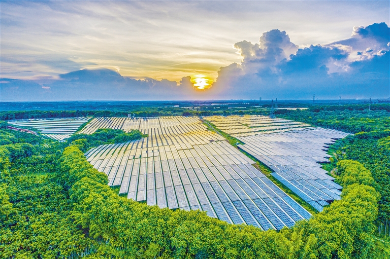 海南電網(wǎng)公司加快構(gòu)建現(xiàn)代供電服務(wù)體系，驅(qū)動(dòng)鄉(xiāng)村振興電力引擎