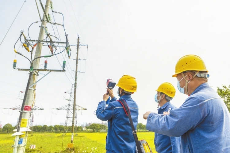 廣東海珠供電局隆平試驗(yàn)田開(kāi)展電力“體檢”