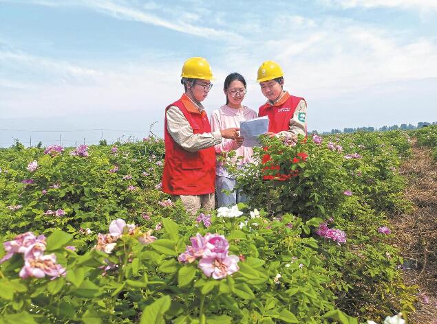 江蘇省啟東市“一村一制” 電力服務(wù)精準(zhǔn)便民