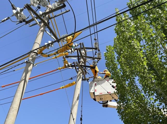 帶電作業(yè)除隱患，安全供電有保障