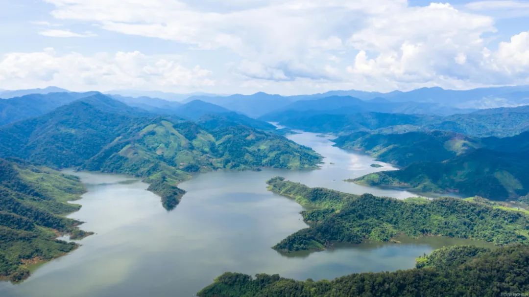 中國電建：為保護(hù)生物多樣性注入中企動(dòng)力