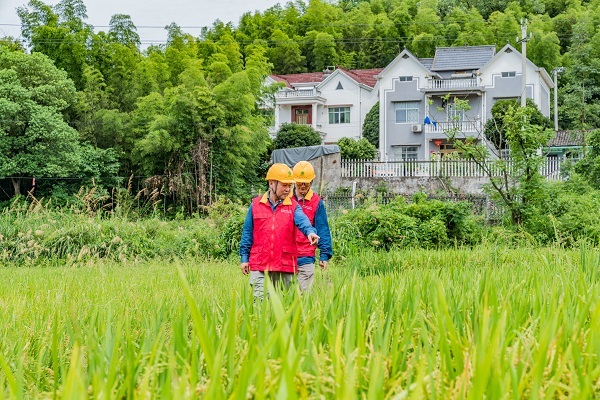 國網衢州供電公司：電力“及時雨” 助農保豐收