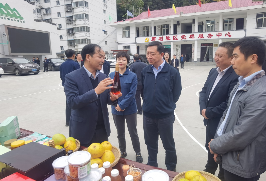 中核集團(tuán)總經(jīng)理、黨組副書記顧軍赴陜西白河、旬陽(yáng)調(diào)研鄉(xiāng)村振興工作