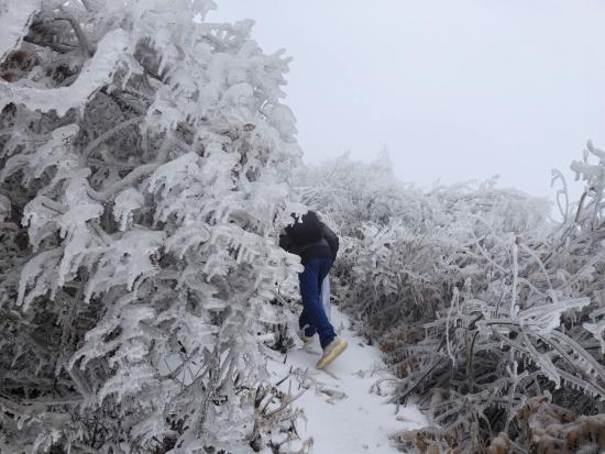 【新春走基層】迎雪而上攻堅行，奮戰(zhàn)不息護(hù)光明