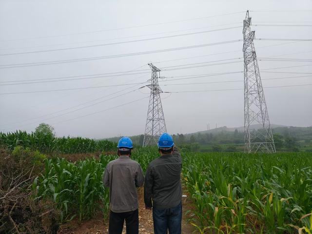 國網新安縣供電公司雨后特巡筑牢電網安全屏障