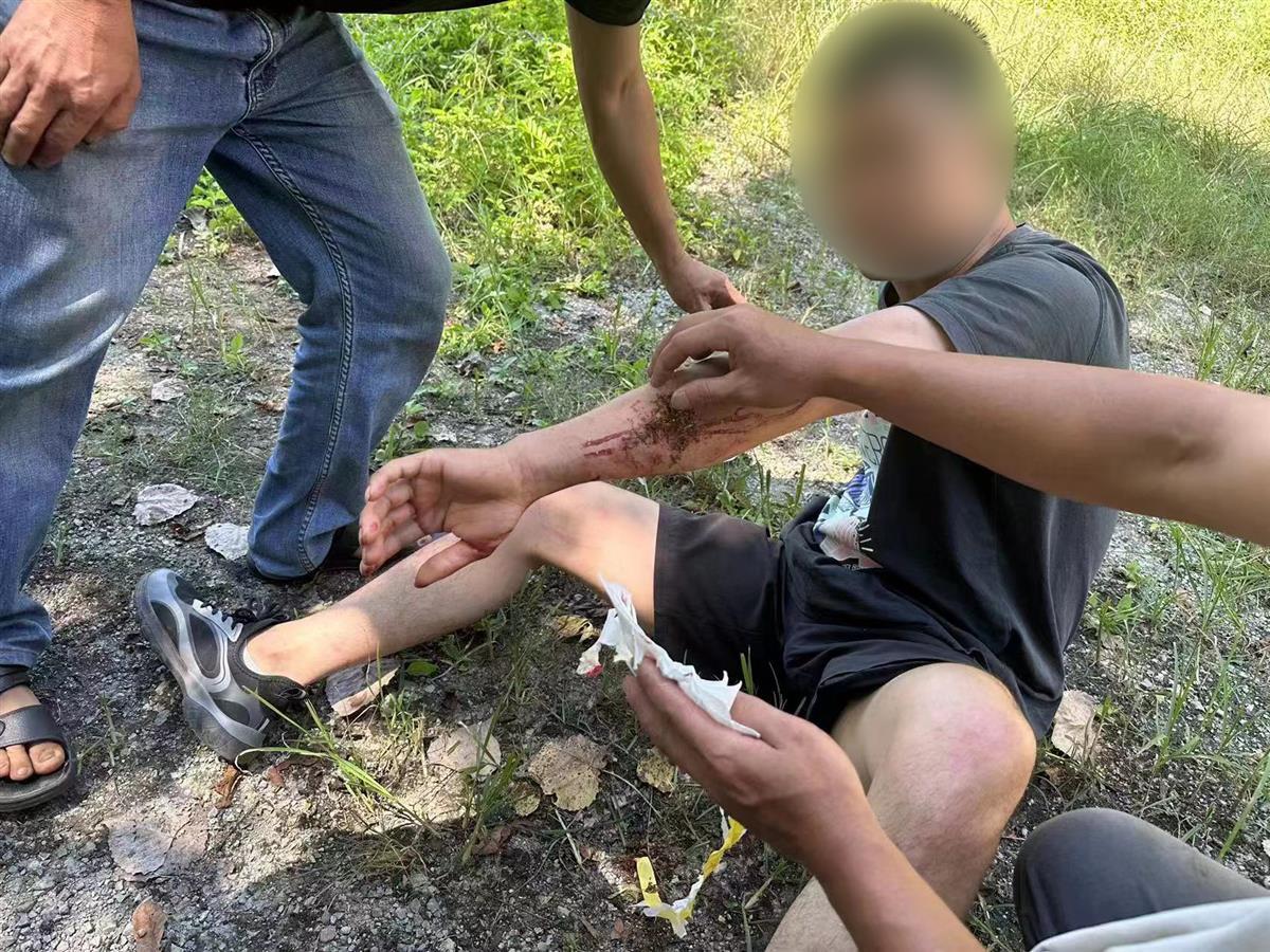 男子私設電網(wǎng)30余米，沒捕獲獵物卻電傷路人被刑拘