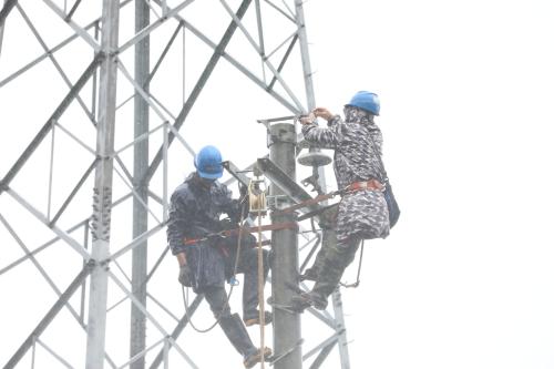 國網壽寧縣供電公司臺風“康妮”過境 冒雨搶修保供電