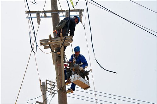 福建長泰供電：密織線路防護(hù)網(wǎng)